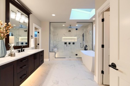 Luxury modern home bathroom interior with dark brown cabinets
